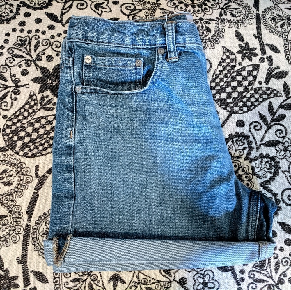 Everlane Shorts
